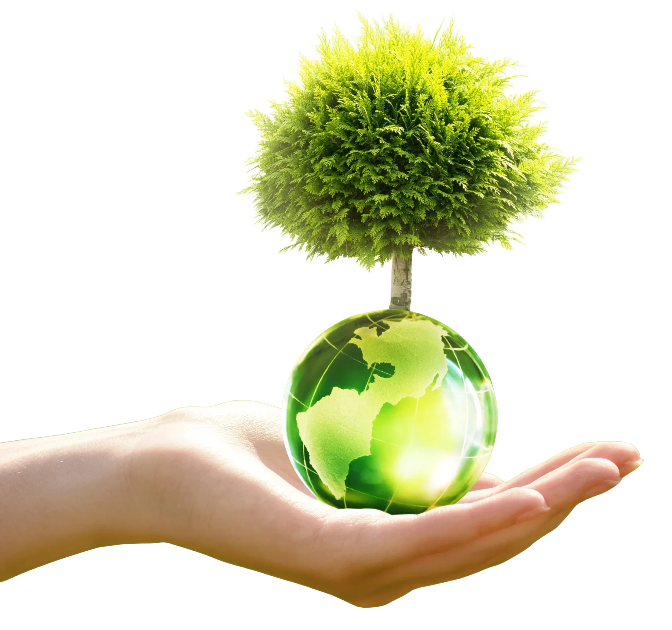 Mano che sostiene un piccolo globo verde con un albero, simbolo di sostenibilità ambientale