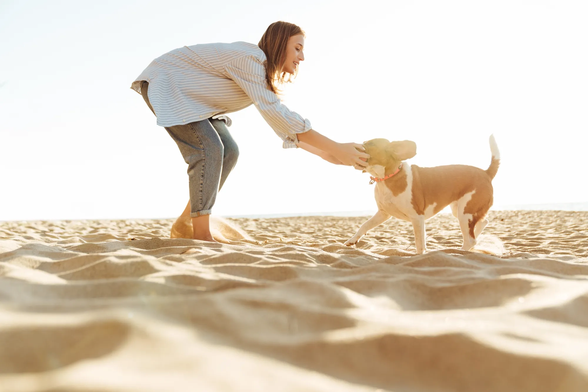 Donna gioca con il suo cane sulla spiaggia sabbiosa dell'isola d'Elba