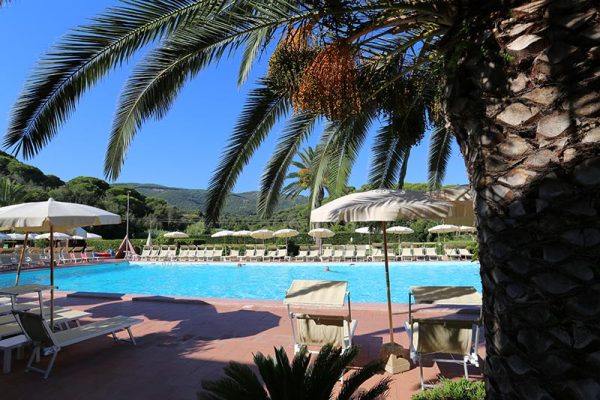 Piscina all'aperto circondata da palme e lettini sotto ombrelloni in un ambiente soleggiato.